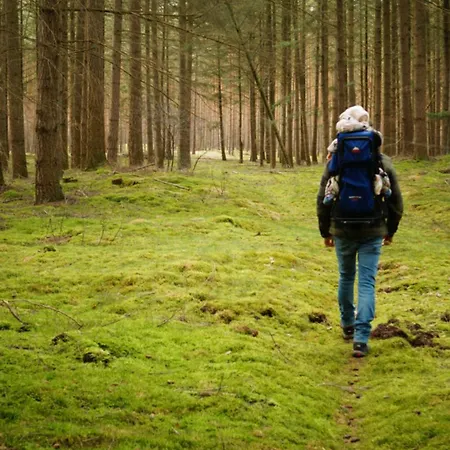 Remise Brasch - Zwischen Bahnhof Und Elbe Διαμέρισμα Wittenberge