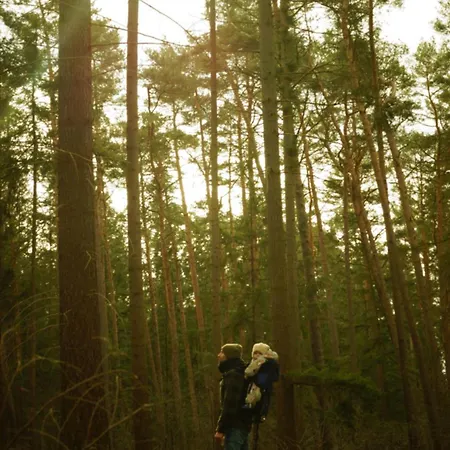 Remise Brasch - Zwischen Bahnhof Und Elbe