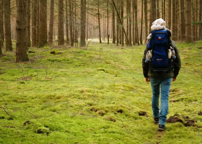 Remise Brasch - Zwischen Bahnhof Und Elbe Apartamento Wittenberge