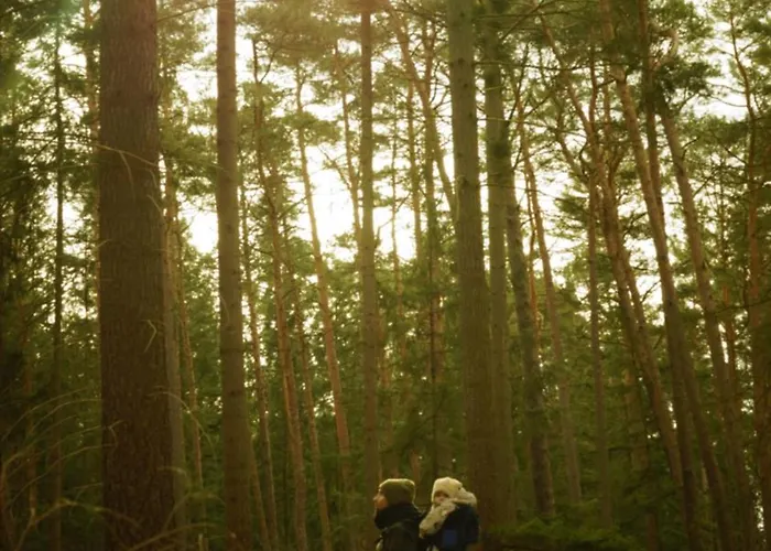 Remise Brasch - Zwischen Bahnhof Und Elbe