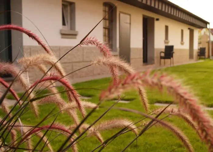 Apartamento Remise Brasch - Zwischen Bahnhof Und Elbe