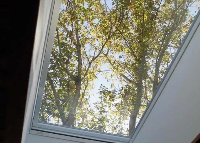 Remise Brasch - Zwischen Bahnhof Und Elbe *